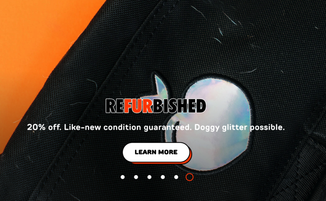 9个月卖出$100万，宠物DTC创业4年只出3个品，但个个爆单