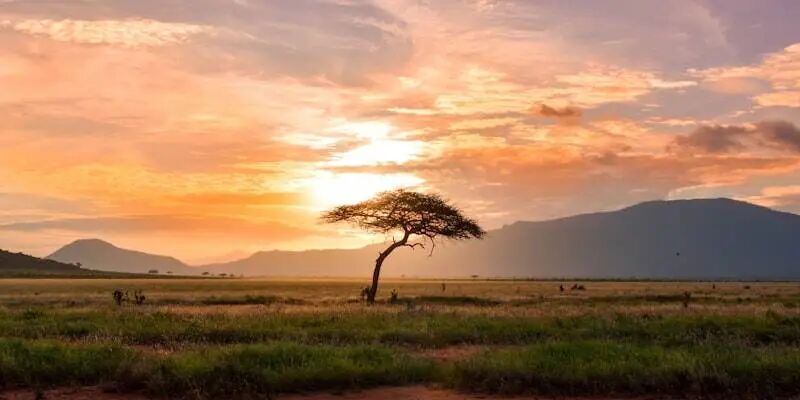 2026全球跨境电商平台全景手册