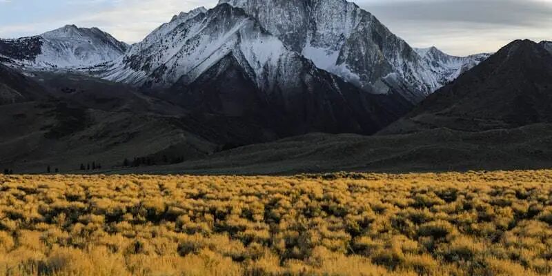 跨境大败局②:帕拓逊沉浮录 8 跨境大败局②:帕拓逊沉浮录