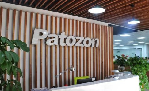 跨境大败局②:帕拓逊沉浮录 2 跨境大败局②:帕拓逊沉浮录