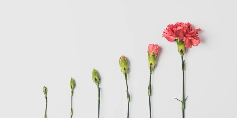 改行潮，大批跨境卖家正在退场