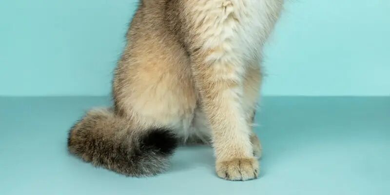 4月欧洲跨境营销日历,我整理完发现这个月全是机会 8 4月欧洲跨境营销日历,我整理完发现这个月全是机会