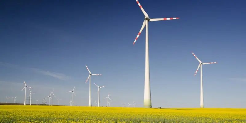 一天一国：2026年荷兰跨境电商好做吗？