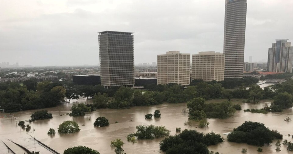 跨境电商人物志⑦：正浩创新创始人王雷