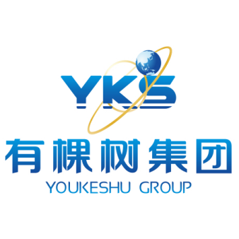 跨境大卖内斗升级：创始人举报公章造假