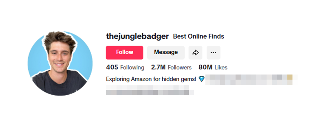 海外红人营销|泽宝前高管做小家电出海，仅用3年就干出10亿营收！