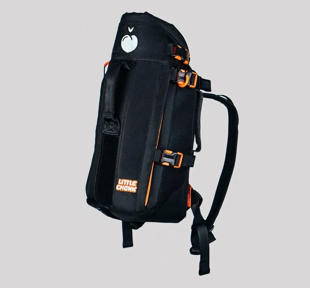 9个月卖出$100万，宠物DTC创业4年只出3个品，但个个爆单