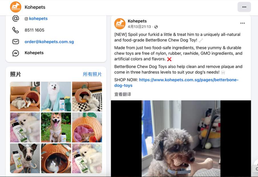 Kik独立站GEO(AI搜索)优化流程SOP全公开