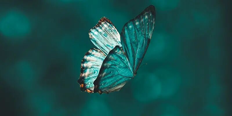 深圳跨境TOP30背后,藏着一套全球找不到第二个的出海逻辑 9 深圳跨境TOP30背后,藏着一套全球找不到第二个的出海逻辑