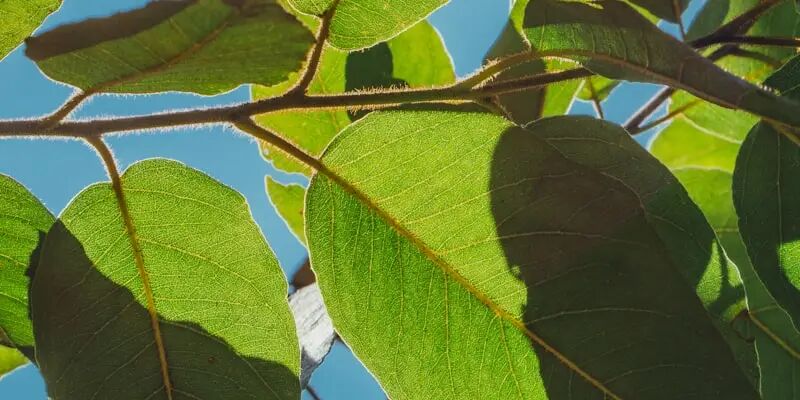 4月欧洲跨境营销日历,我整理完发现这个月全是机会 10 4月欧洲跨境营销日历,我整理完发现这个月全是机会