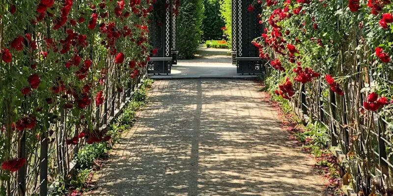 2026下半年，这10个细分品跑疯了——欧洲站卖家尤其要看