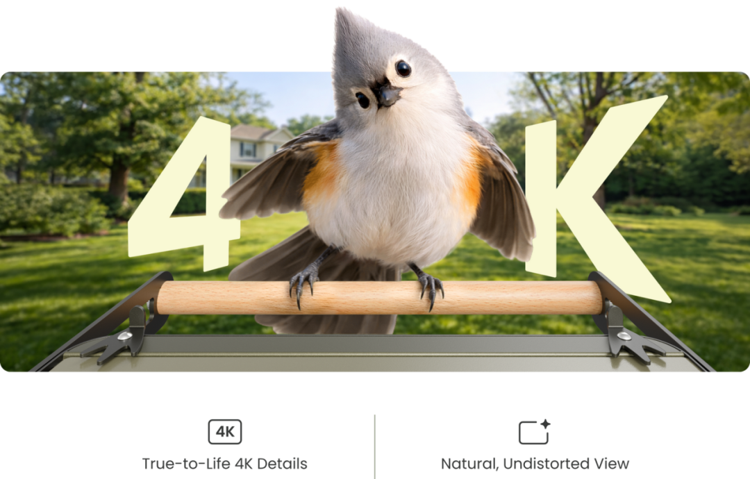 亚马逊月销百万美金，监控观鸟TOP1：把小众爱好做成大生意