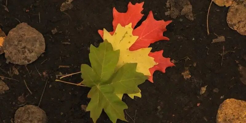 跨境电商迎来了它的行业寒冬？