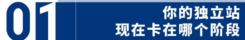 独立站月烧过万广告费，订单却没几个？