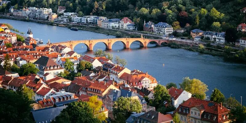 美国电商十强榜刚出炉,但做欧洲的卖家看完应该更慌 9 美国电商十强榜刚出炉,但做欧洲的卖家看完应该更慌