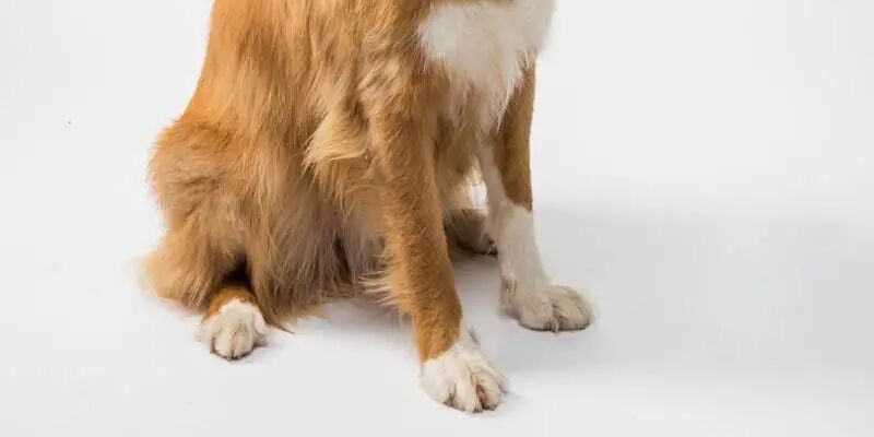 2026全球跨境电商平台全景手册