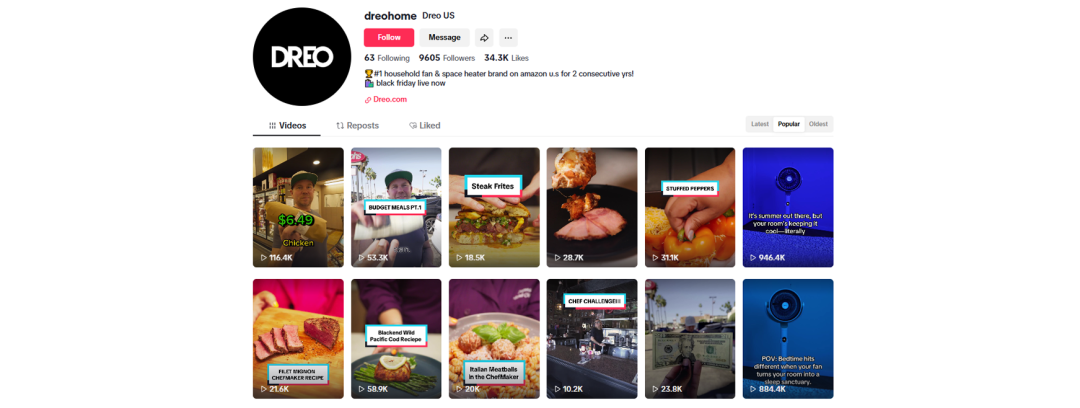 海外红人营销|泽宝前高管做小家电出海，仅用3年就干出10亿营收！