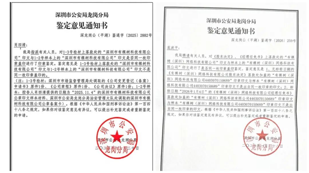 跨境大卖内斗升级：创始人举报公章造假