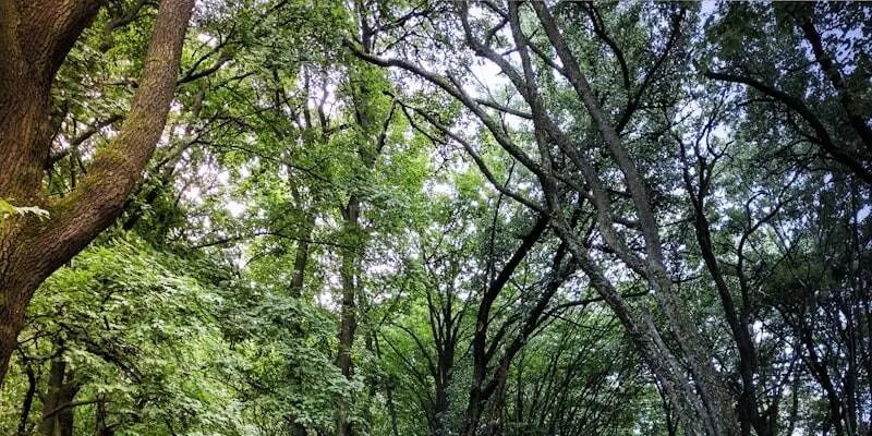 独立站的真相：你以为的"自由"，其实是另一种形式的"囚笼"