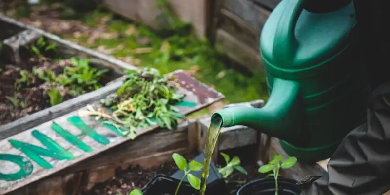 一天一国：2026年荷兰跨境电商好做吗？