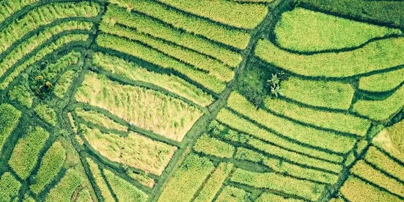 欧洲跨境电商必看！VAT、IOSS、EORI、EPR是什么？