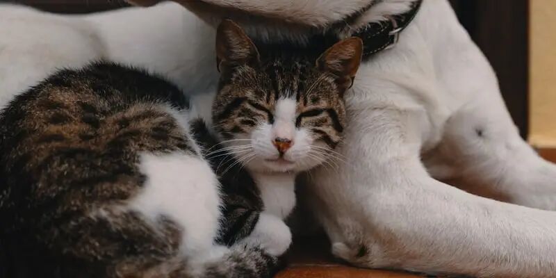 2026下半年，这10个细分品跑疯了——欧洲站卖家尤其要看