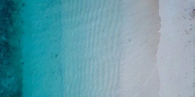 一天一家跨境电商公司：跨境通