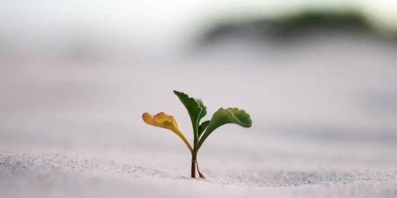 2026年的欧洲，不是机遇年，是换人年