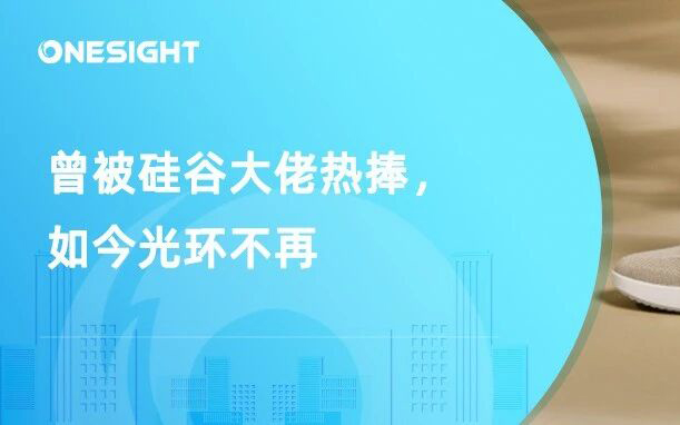 昔日DTC明星品牌Allbirds低价出售，DTC模式风光不再？