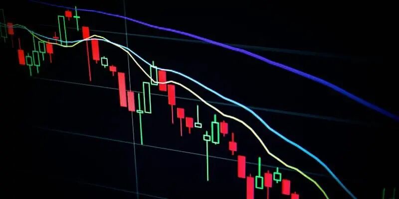 2026开门红:跨境电商正在跑出一批 2026开门红:跨境电商正在跑出一批"垂直品类的世界冠军"