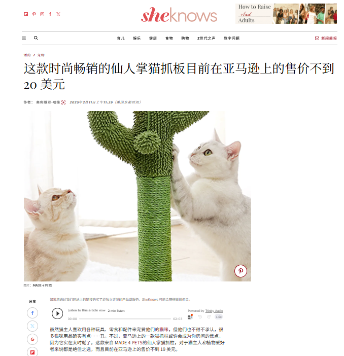 单日卖爆600多单，年GMV近300万美元！一只肥猫征服出海宠物赛道
