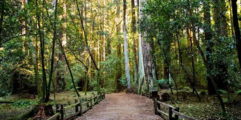 跨境电商出海，哪些品类还能赚到钱？