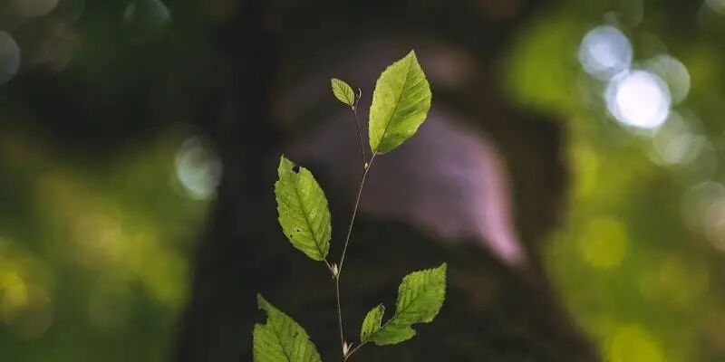 跨境电商人物志：卡谷电商创始人刘三勇