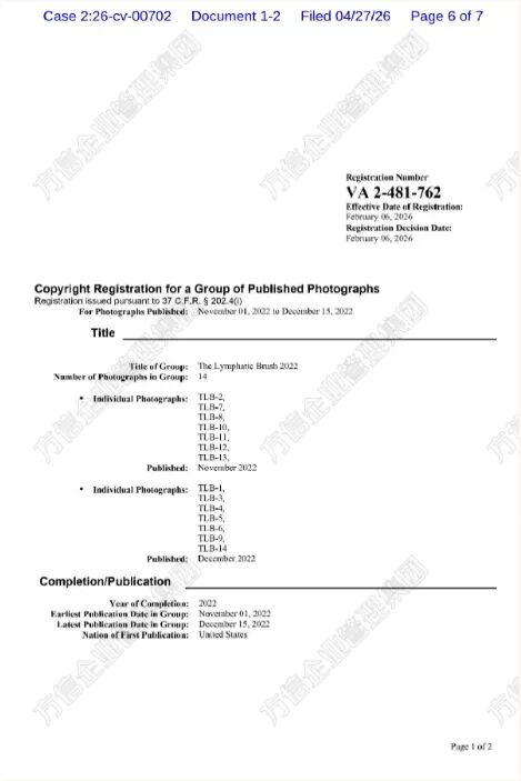 2026-cv-00702，淋巴刷版权专利重拳出击！已有大卖踩雷中招？！