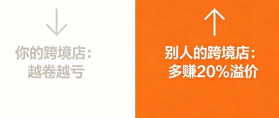 为什么你的跨境店越卷越亏？而别人比你多赚20%溢价？