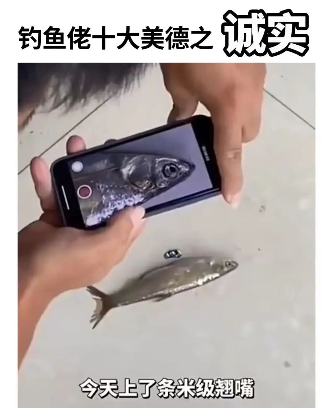 获安克投资,年销5亿,山东这一渔具品牌赚翻了! 2 获安克投资,年销5亿,山东这一渔具品牌赚翻了!