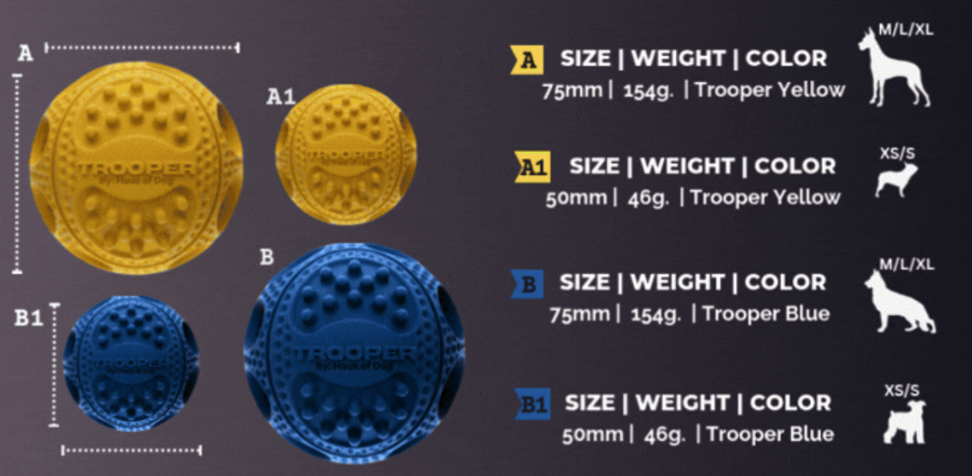 卖狗玩具球1个月赚$28万，粉丝不到300的HOD做对了什么？