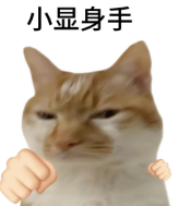 亚马逊FBA费用全面上调，2026下半年卖家如何守住盈利空间？