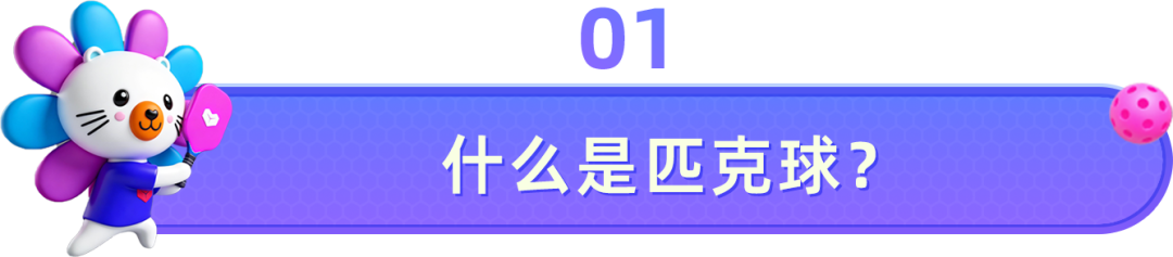 半年销量飙升30倍,匹克球如何成为跨境卖家必抢新赛道? 3 半年销量飙升30倍,匹克球如何成为跨境卖家必抢新赛道?