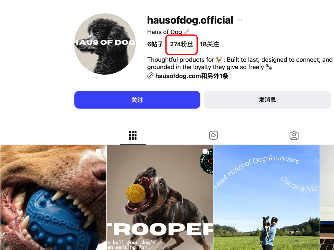 卖狗玩具球1个月赚$28万，粉丝不到300的HOD做对了什么？
