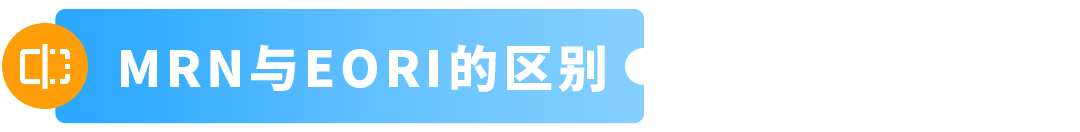 9/1起,通过PAN-EU入库欧盟货件以及直接发往法国的货件必须提供MRN+EORI 14 9/1起,通过PAN-EU入库欧盟货件以及直接发往法国的货件必须提供MRN+EORI