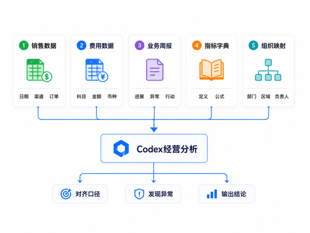 如何用Codex做经营分析？