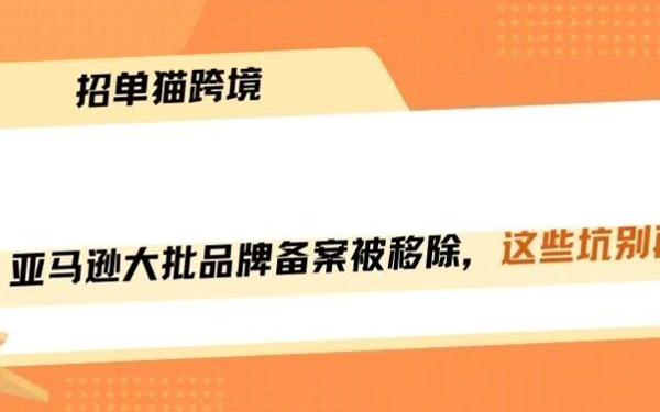 亚马逊大批品牌备案一夜被移除！