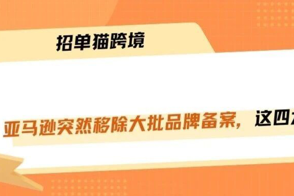 亚马逊批量移除品牌备案！这四类卖家最危险！