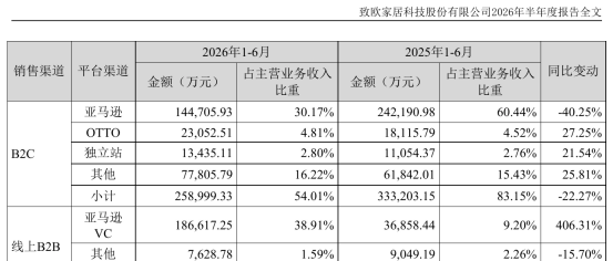 营收48亿,净利大涨,致欧的账不简单 5 营收48亿,净利大涨,致欧的账不简单