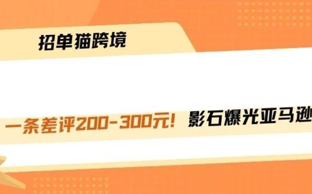 一条差评300块，同行正在废掉你的链接！！！