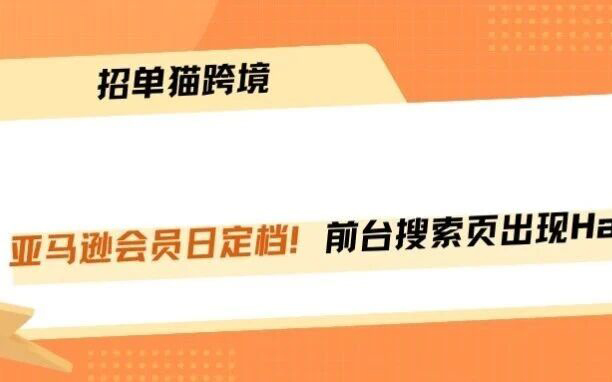 亚马逊会员日定档！搜索页竟惊现Haul低价专区！！！