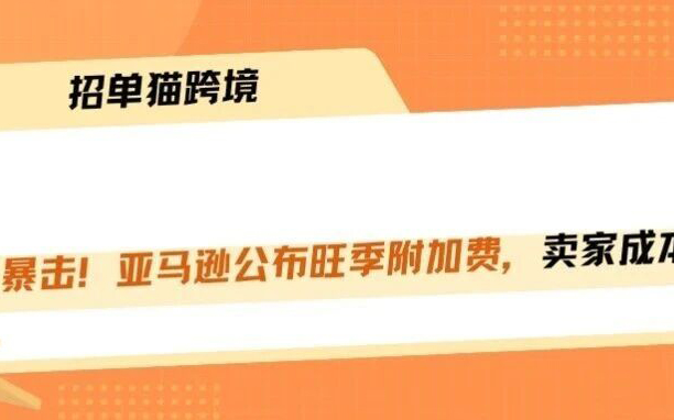 亚马逊旺季附加费实锤，卖家利润要凉透！！！