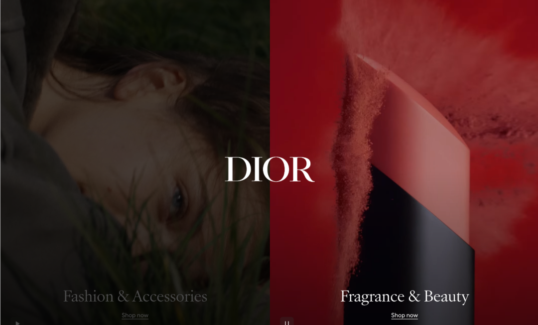 上周TRO复盘：动物插画告了211家店，Dior、克罗心同步开火！