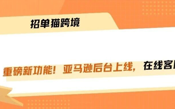 亚马逊偷偷上线两个新功能！中小卖家先别急着开！！